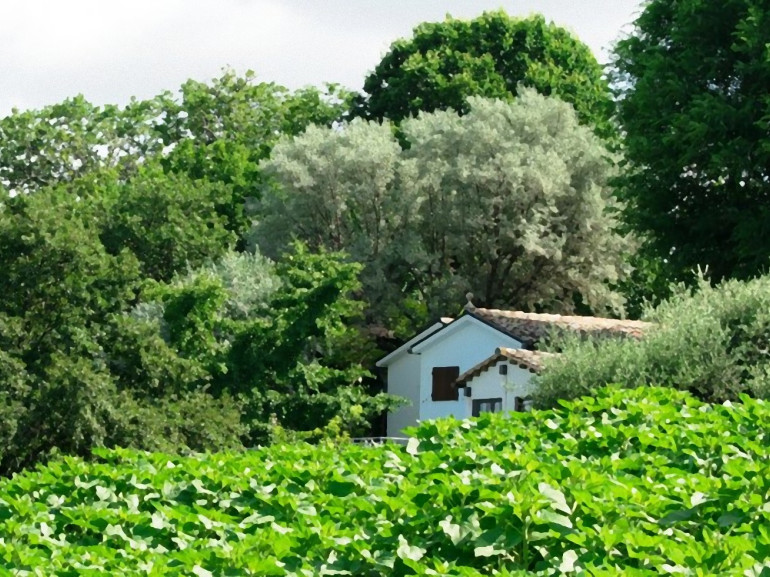 Country House immersa nel verde