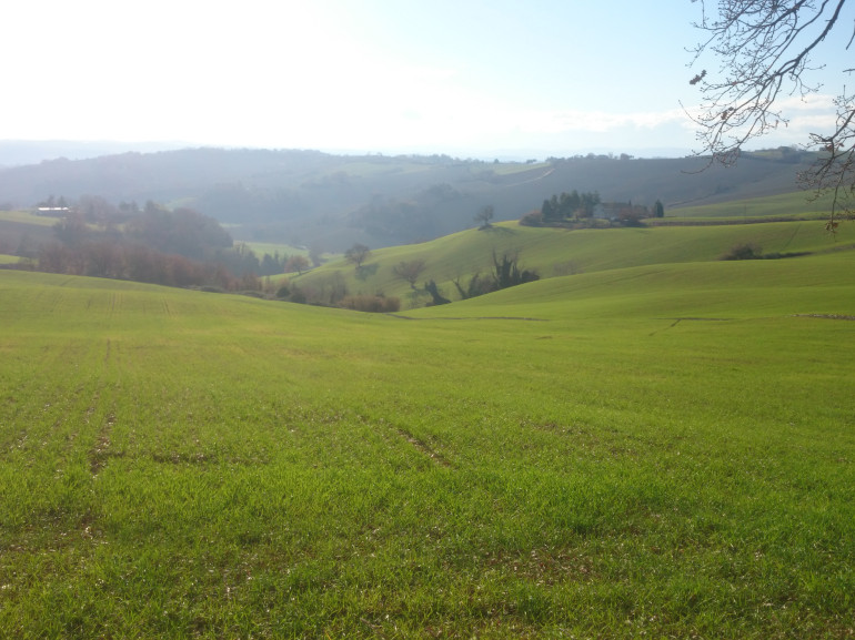 Paesaggio e colline verdi, Marche a piedi, Italia