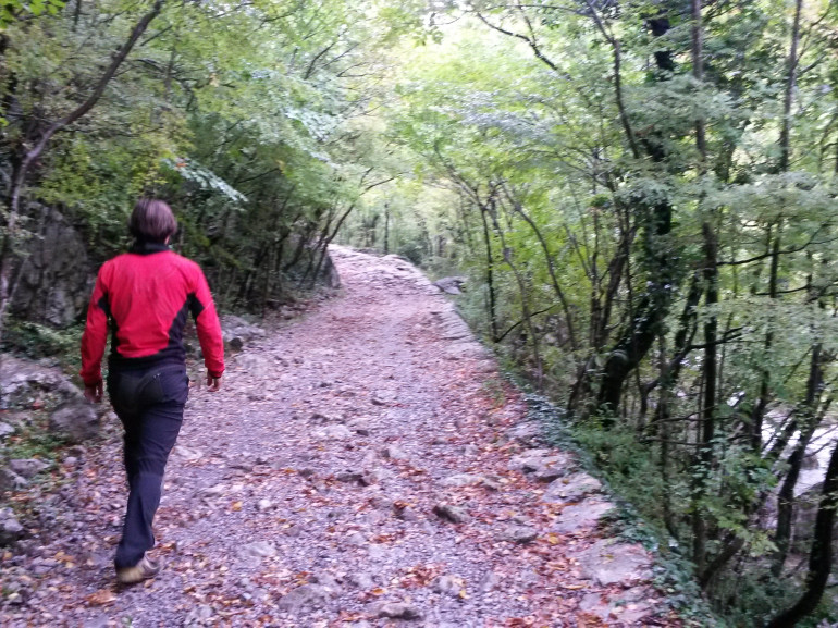 un ragazzo cammina sul sentiero circondato da boschi e foglie arancioni