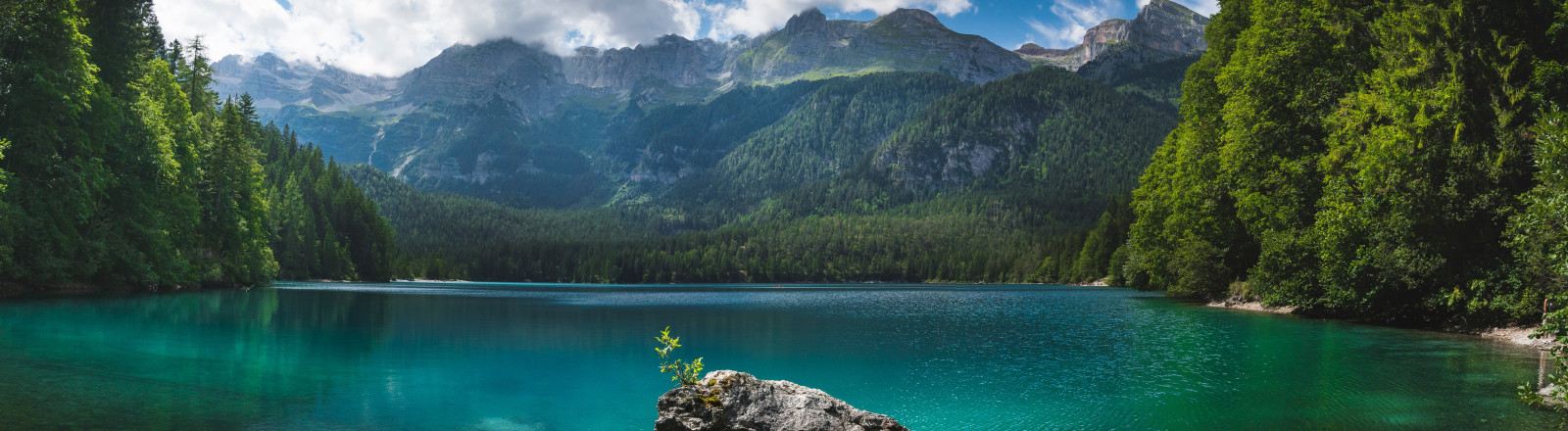 Adamello Brenta Nature Park
