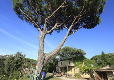 Ecobnb Find Your Sustainable Accommodation