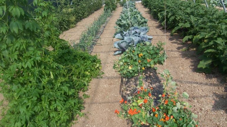 Agriturismo Casa delle Erbe - Green Farm house in Albareto ...