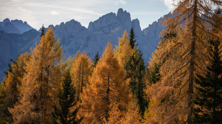 Forni di Sopra and its mountain