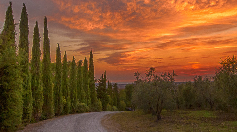 Agriturismo Riva Al Fiume Orcia Green Farm House In Pienza Siena Toscana It