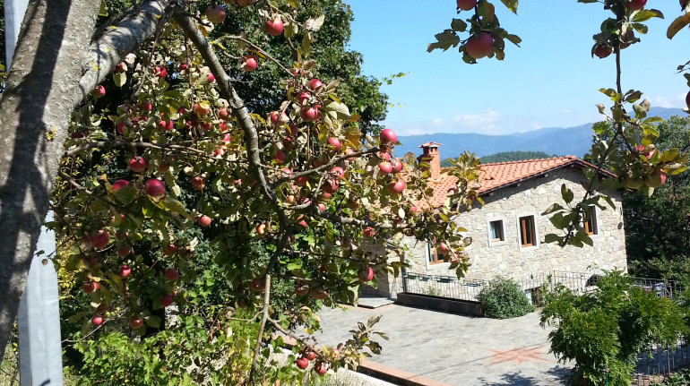 Casa Le Rote Green Appartment In Poppi Arezzo Toscana It