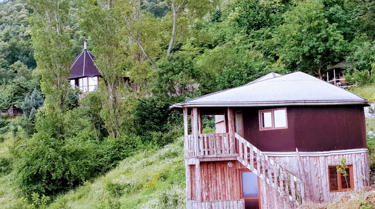 tree of life eco camp green