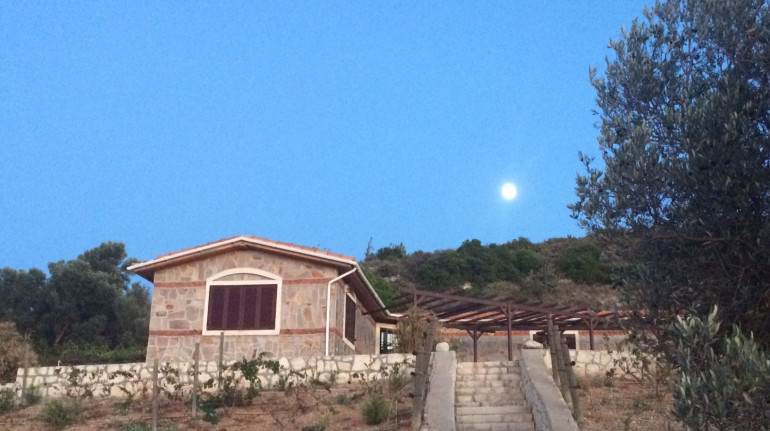 Agroturizm Bahar Bahce Green Bed Breakfast In Cesme Izmir Tr