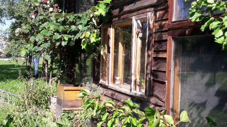 biohof hart 7 green farm house in eberndorf volkermarkt carinthia at