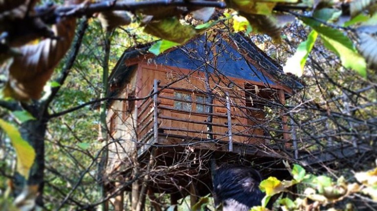 Il Giardino Dei Semplici Green Bed Breakfast In Manta Cuneo