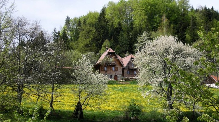 Apartments Zaovine S Lakes Green Apartment In Bajina Basta Tara Rs