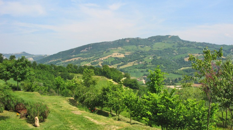 Agriturismo Bellavista Green Farm House In Monte San
