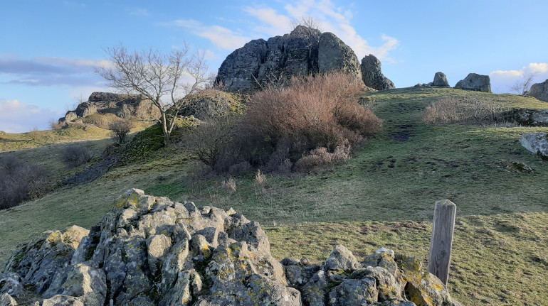 Single zierenberg