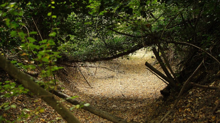 Agriturismo Biologico Villa Rosa Green Farm House In Montefelcino Pesaro Urbino Le Marche It